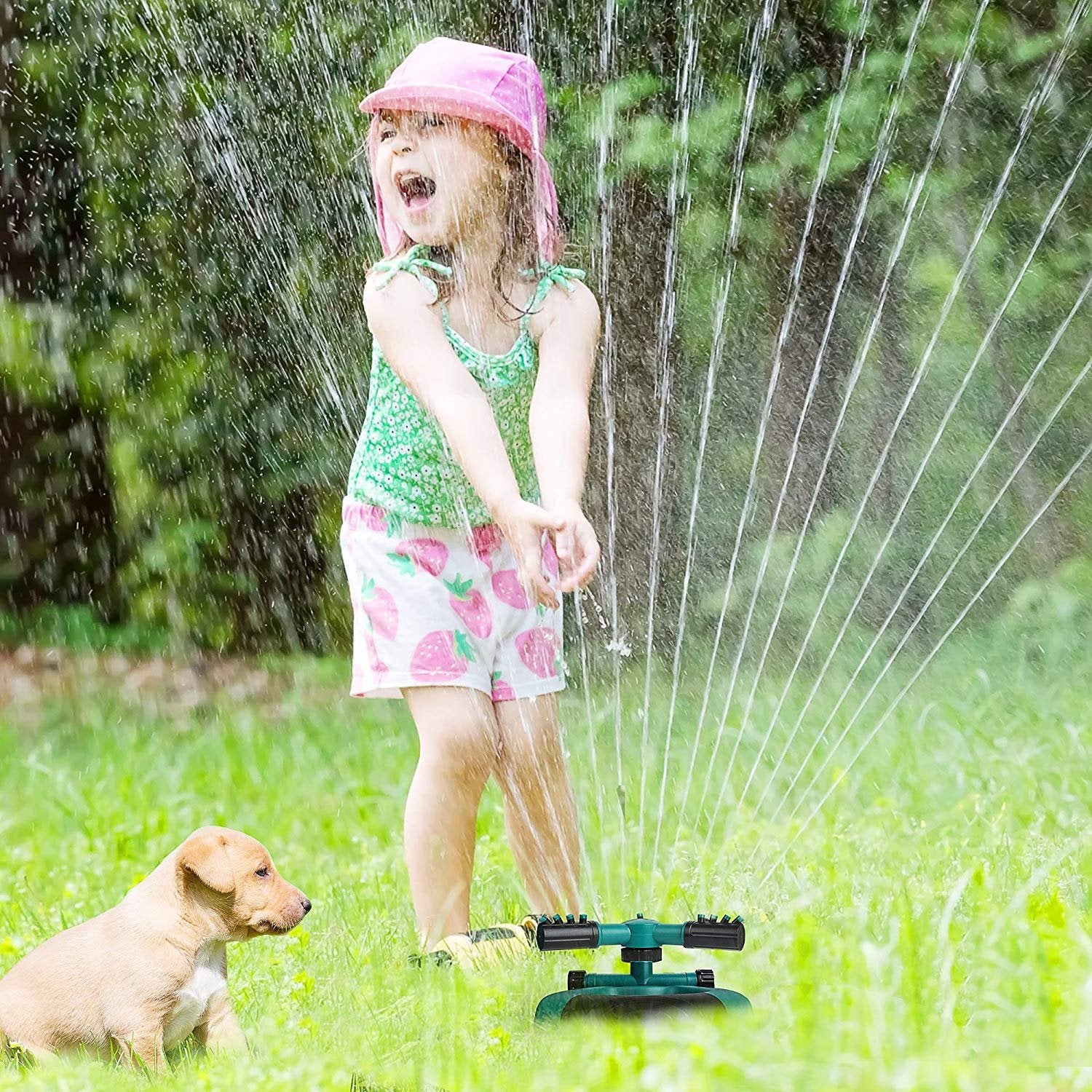 Automatic Rotary Sprinkler for Lawn and Vegetable Irrigation